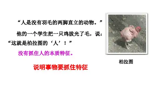 写作 《说明事物要抓住特征》最新部编人教版语文《说明事物要抓住特征》八年级语文上册第五单元课件PPT