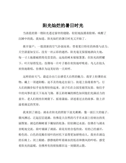 阳光灿烂的暑日时光