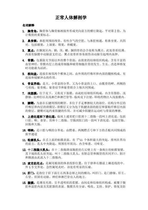 正常人体解剖学完整