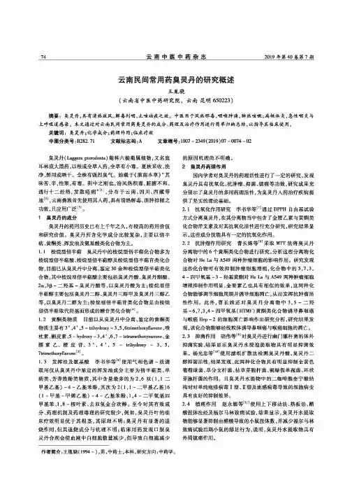 云南民间常用药臭灵丹的研究概述