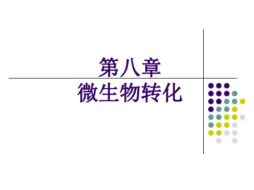 第八章 微生物转化