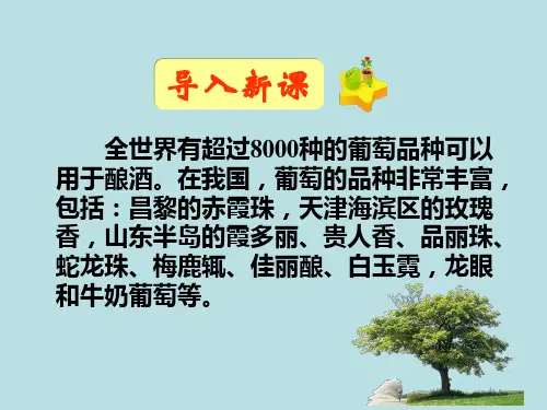 高中生物选修一专题一1.1果酒果醋的制作(共39张PPT)