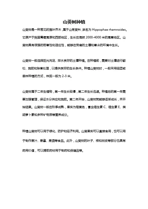 山萸树种植