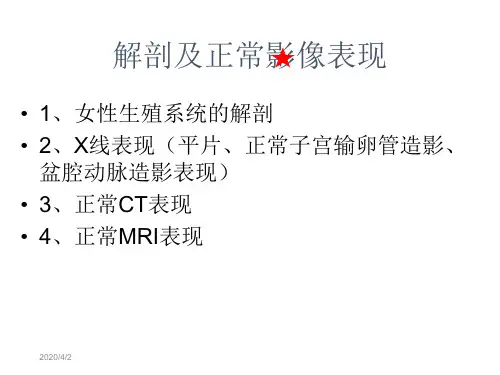 女性生殖系统正常影象学表现