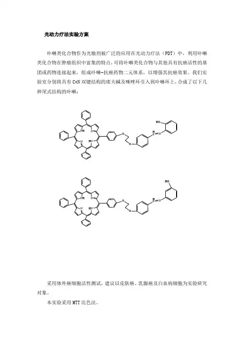 PDT实验方案
