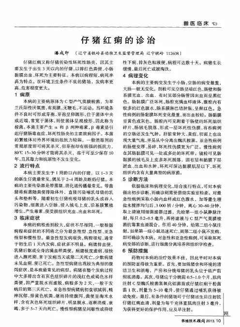 仔猪红痢的诊治