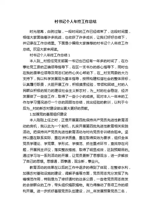 村书记个人年终工作总结