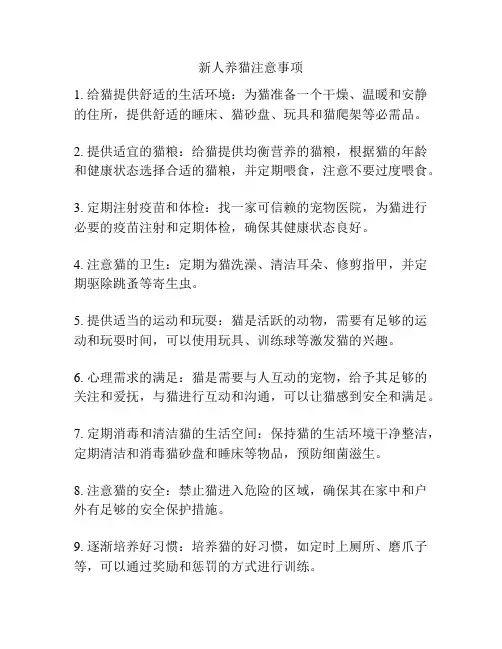 新人养猫注意事项