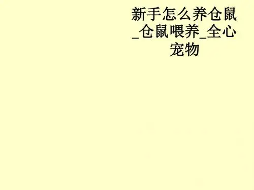 新手怎么养仓鼠_仓鼠喂养_全心宠物ppt课件