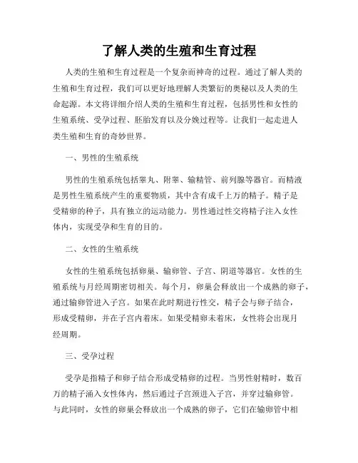 了解人类的生殖和生育过程
