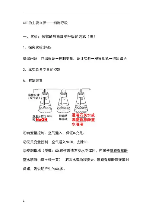 ATP的主要来源——细胞呼吸知识点