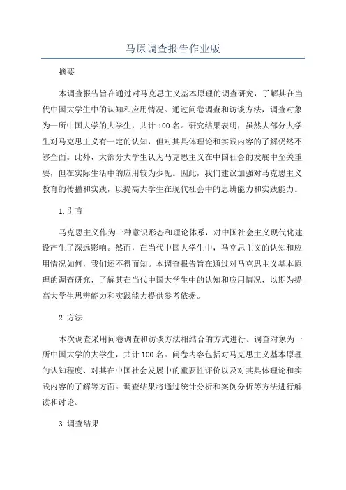 马原调查报告作业版