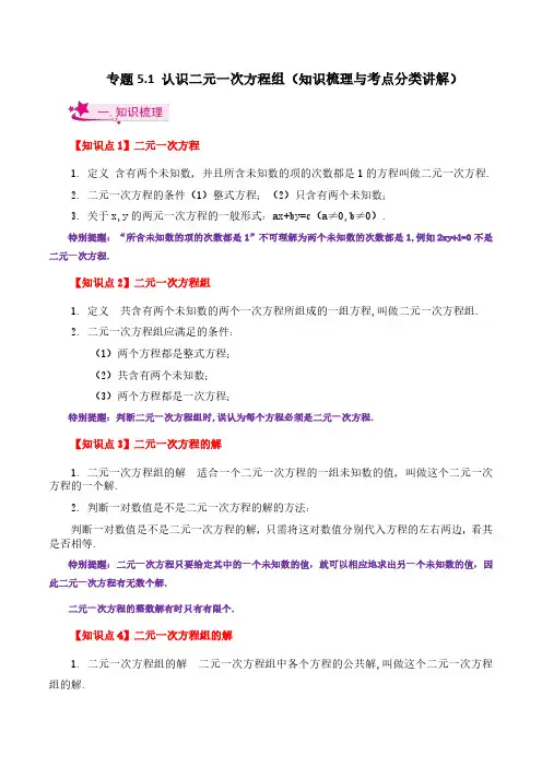 认识二元一次方程组(知识梳理与考点分类讲解)-八年级数学上册基础知识专项突破讲与练(北师大版)