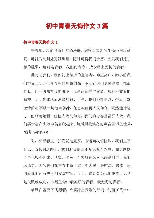 初中青春无悔作文3篇