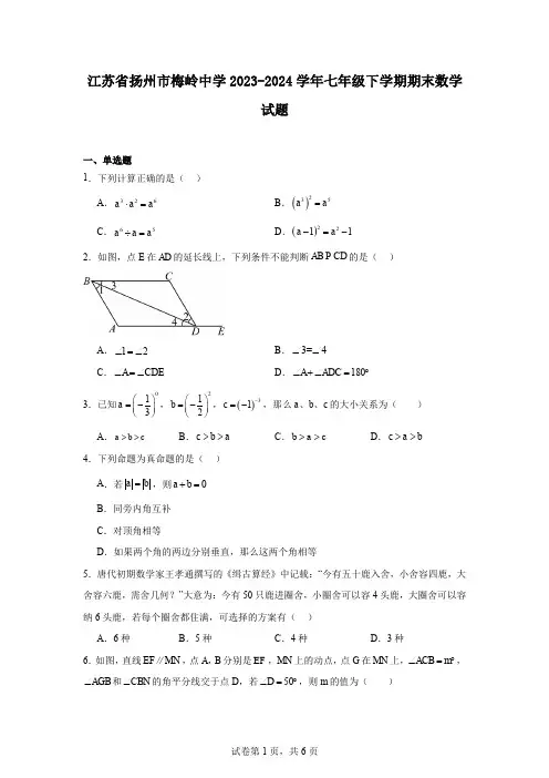江苏省扬州市梅岭中学2023-2024学年七年级下学期期末数学试题