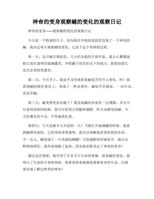 小学三年级作文神奇的变身观察蛹的变化的观察日记