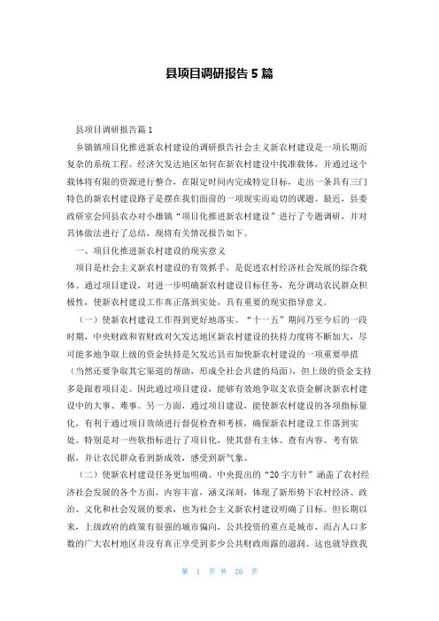 县项目调研报告5篇