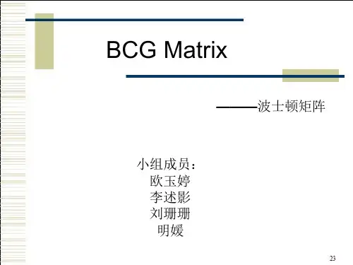 宝洁波士顿矩阵案例分析