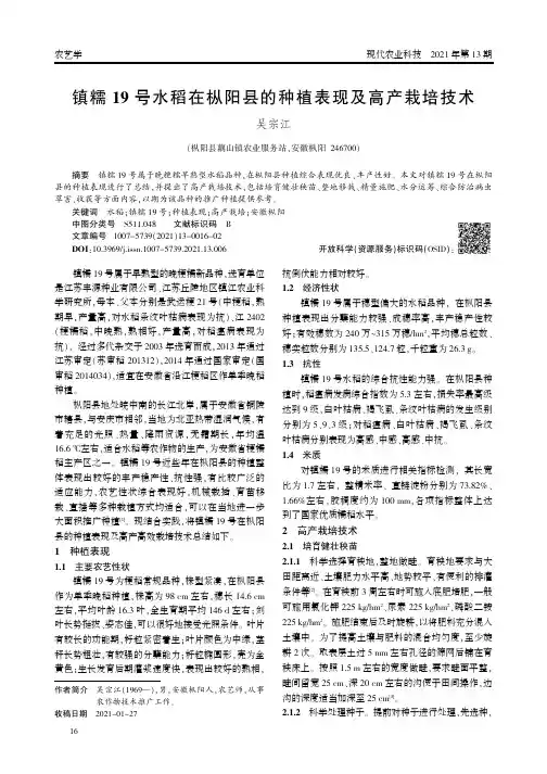 镇糯19号水稻在枞阳县的种植表现及高产栽培技术