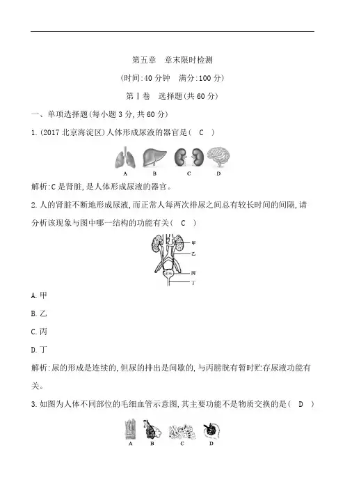 2018—2019学年下七年级生物第五章人体内废物的排出单元测试及答案