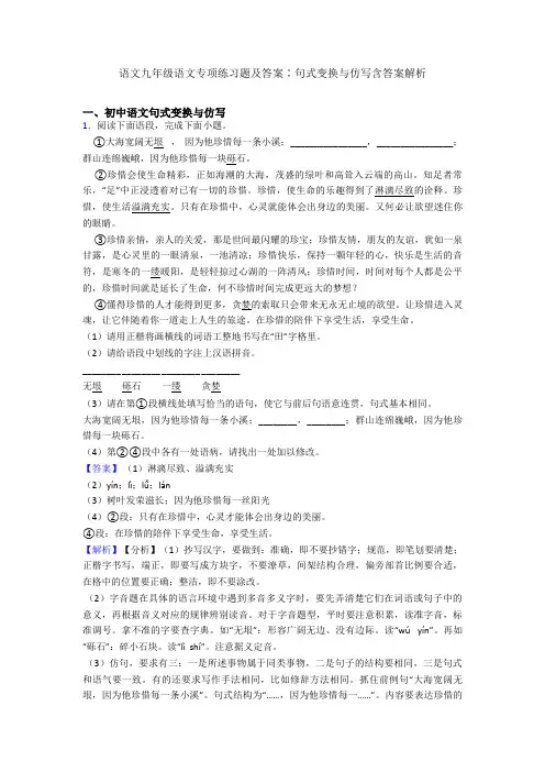 语文九年级语文专项练习题及答案∶句式变换与仿写含答案解析