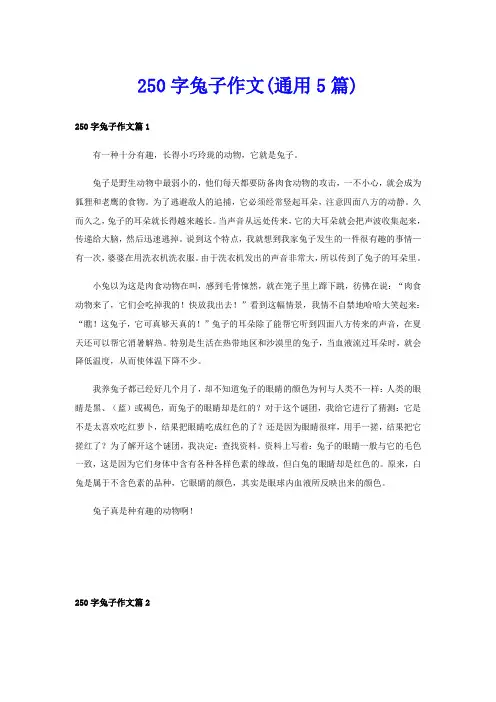 250字兔子作文(通用5篇)