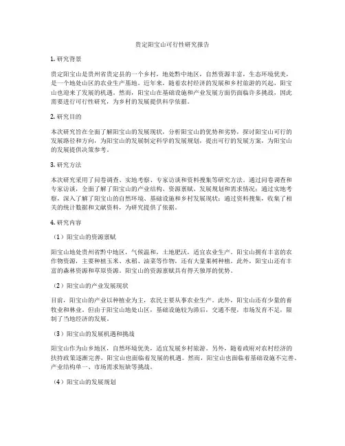 贵定阳宝山可行性研究报告