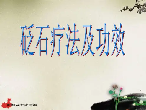 培训学习资料-砭石疗法
