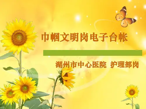 巾帼岗台帐(总)