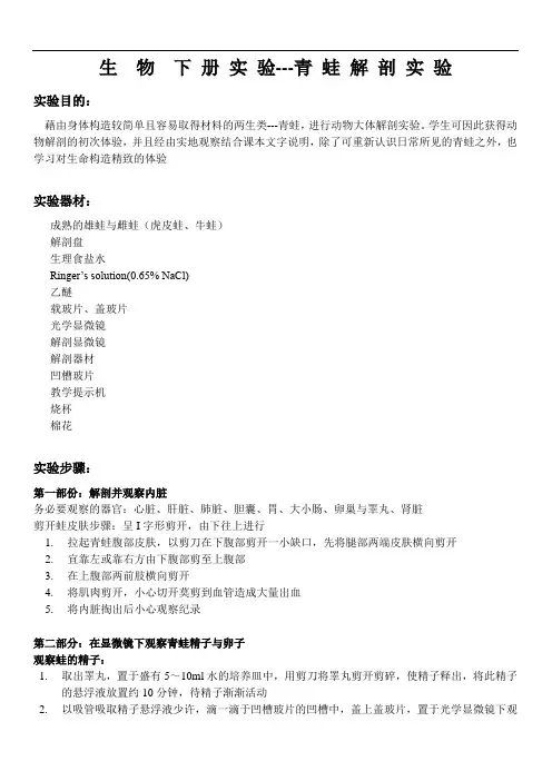 生物实验下册---青蛙解剖实验