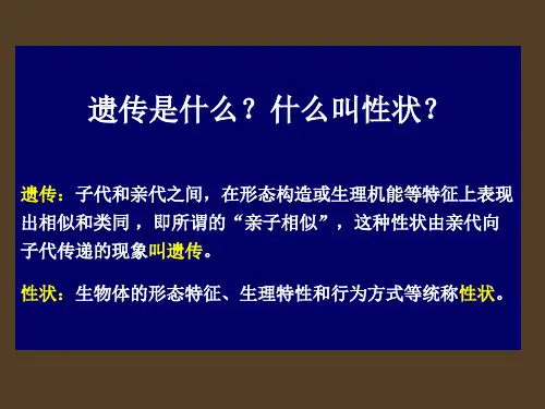 遗传的基本规律