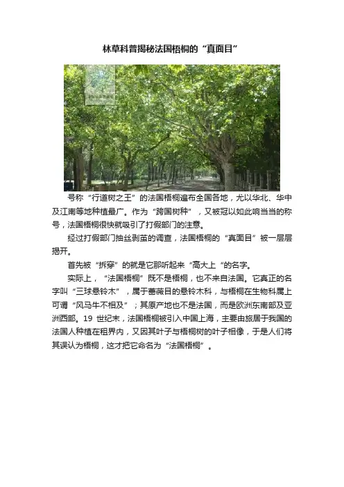 林草科普揭秘法国梧桐的“真面目”