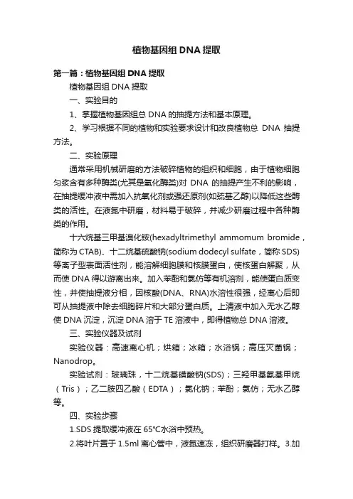 植物基因组DNA提取