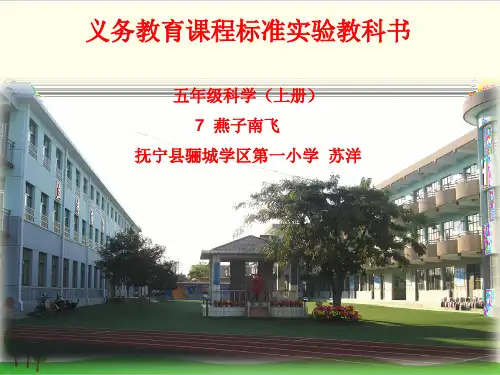 小学科学(冀教版)《燕子南飞》优质课件1