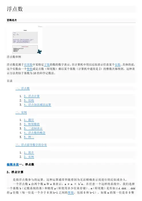 浮点数介绍