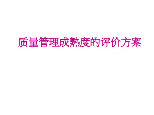 质量管理成熟度的评价方案