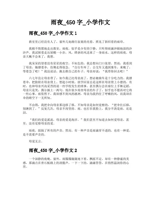 雨夜450字小学作文