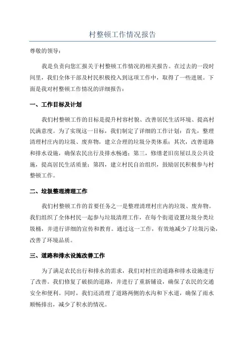 村整顿工作情况报告