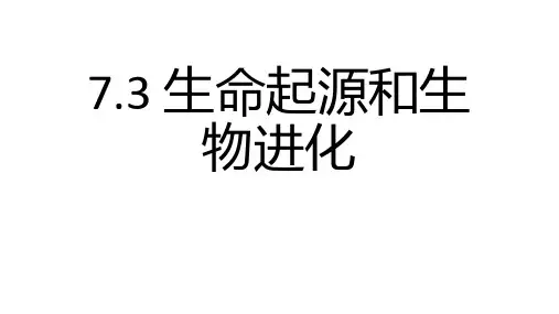 人教版八年级生物下册  生命起源和生物进化 复习课件 