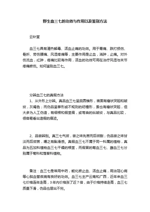 野生血三七的功效与作用以及鉴别方法