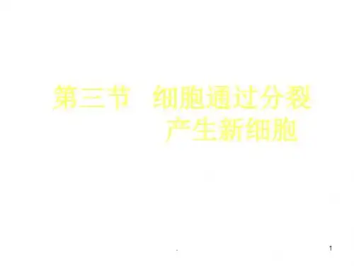 (精品课件)细胞通过分裂产生新细胞PPT演示课件
