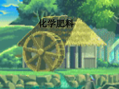 化学九下《化学肥料》精品课件