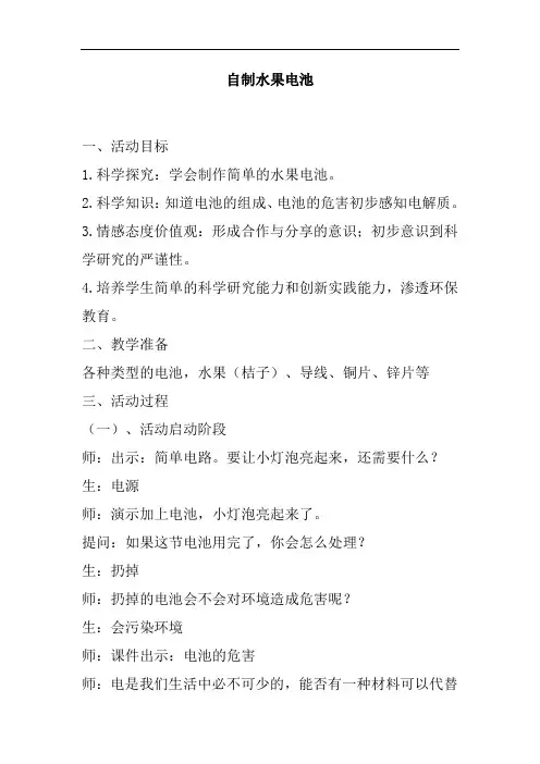 自制水果电池 教学案例设计