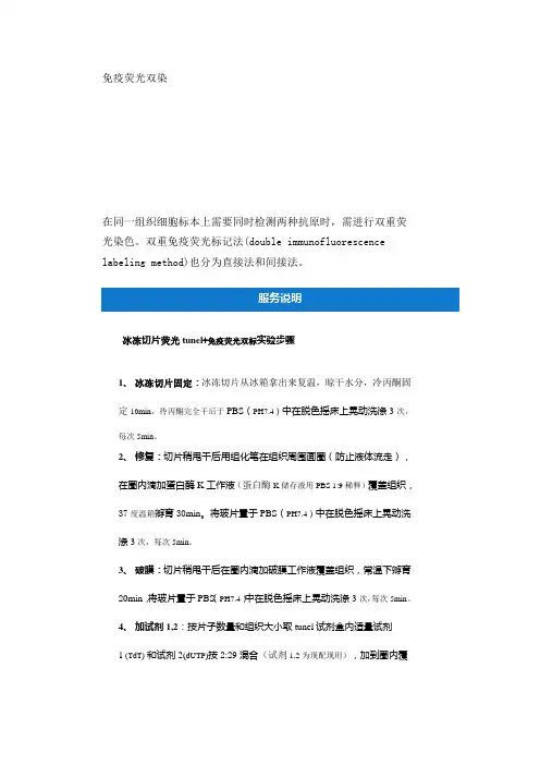 免疫荧光双染