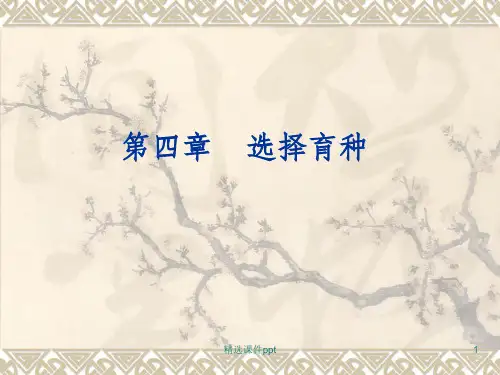 园林植物花卉育种学ppt课件第4章 选择育种