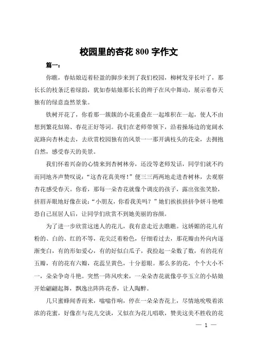 校园里的杏花800字作文