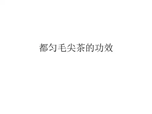 都匀毛尖茶的功效