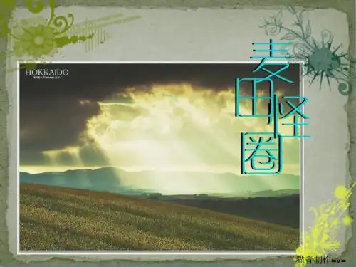 麦田怪圈