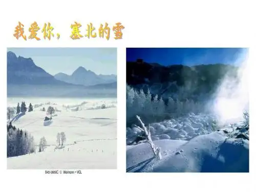 八年级语文雪课件