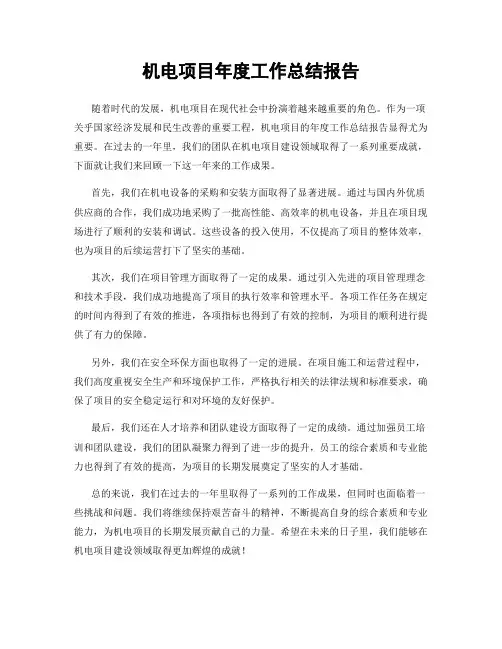 机电项目年度工作总结报告